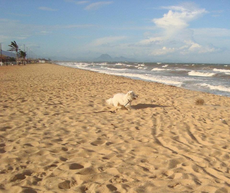 Casa De Praia - Verao Vermelho I - Cabo Frio - Unamar Екстер'єр фото
